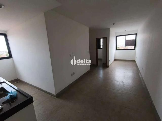 Apartamento aluguel em Segismundo Pereira, Uberlândia