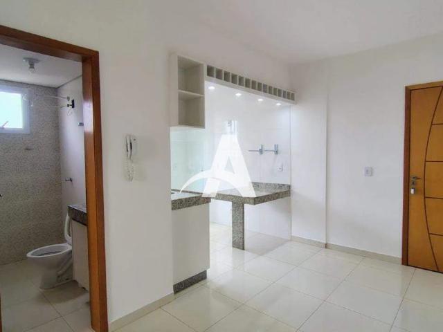 Apartamento aluguel em Setor Sul, Uberlândia