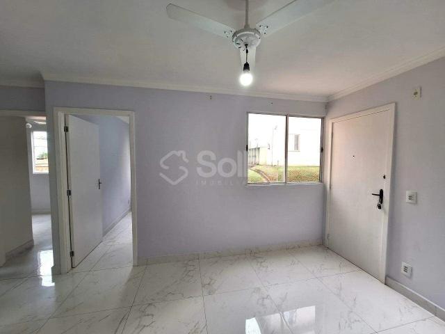 Apartamento aluguel em Região Imediata de Campinas, Região Metropolitana de Campinas