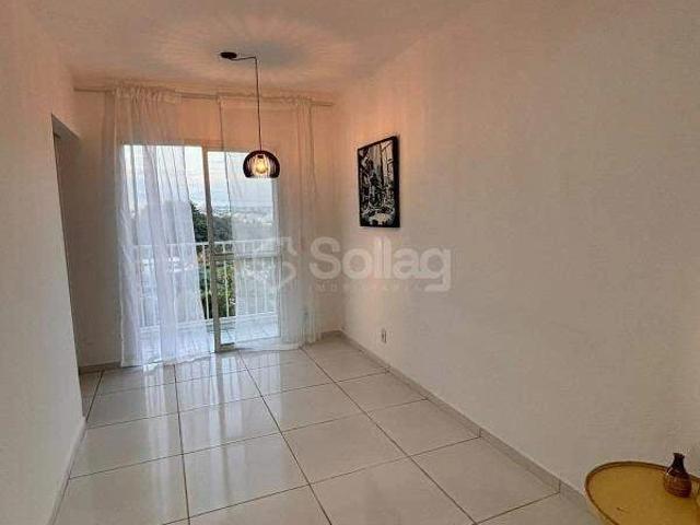 Apartamento aluguel em Região Imediata de Campinas, Região Metropolitana de Campinas