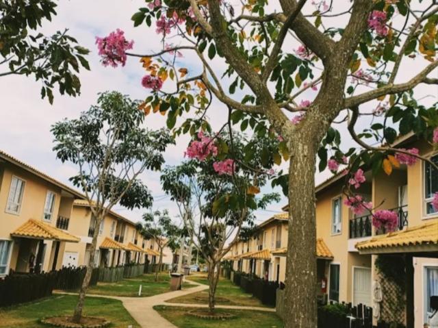 Apartamento aluguel em Região Geográfica Imediata de Vitória da Conquista, Teodoro Sampaio