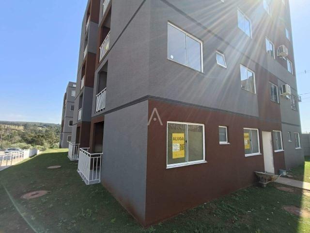 Apartamento aluguel em Região Geográfica Imediata de Cascavel, Cascavel