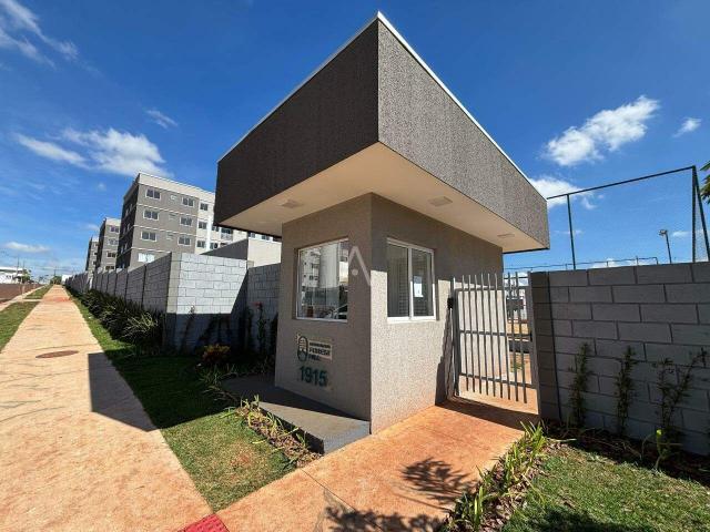 Apartamento aluguel em Florais do Paraná, Cascavel