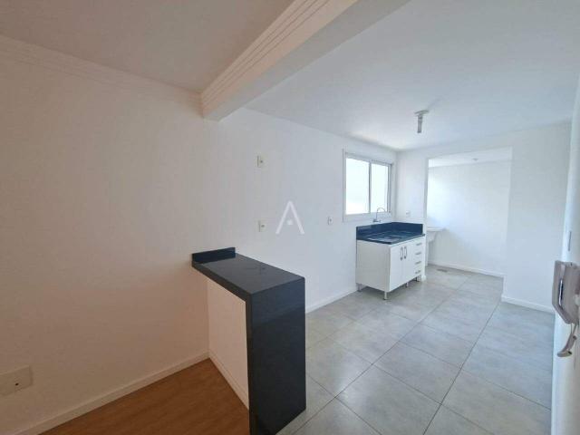 Apartamento aluguel em Região Geográfica Imediata de Cascavel, Cascavel
