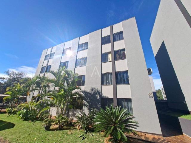 Apartamento aluguel em Região Geográfica Imediata de Cascavel, Cascavel