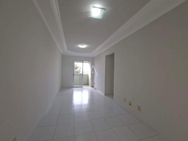 Apartamento aluguel em Região Geográfica Imediata de Cascavel, Cascavel