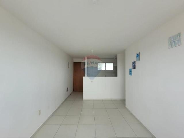 Apartamento aluguel em Região Geográfica Imediata do Recife, Região Metropolitana do Recife