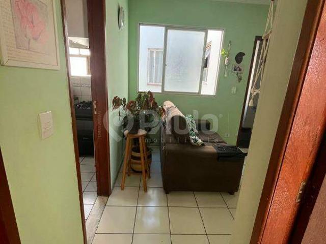 Apartamento aluguel em Região Imediata de Piracicaba, Região Metropolitana de Piracicaba