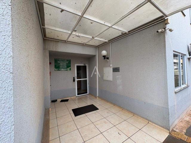Apartamento aluguel em Região Geográfica Imediata de Cascavel, Cascavel