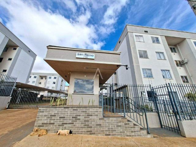 Apartamento aluguel em Região Geográfica Imediata de Cascavel, Cascavel