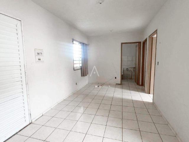 Apartamento aluguel em Região Geográfica Imediata de Cascavel, Cascavel