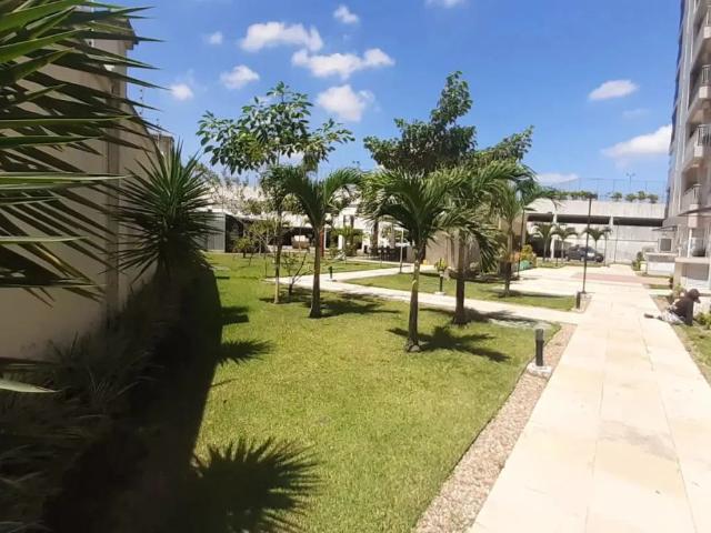 Apartamento aluguel em Coqueiro, Belém