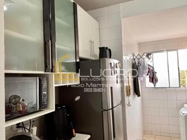 Apartamento aluguel em Vila São Francisco, Bauru