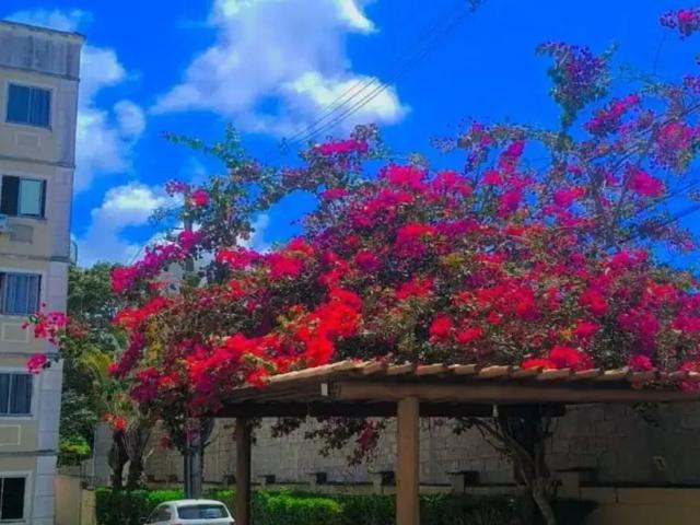 Apartamento aluguel em Condomínio Sun Park, Camaçari