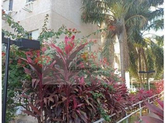 Apartamento venda em São José do Rio Preto