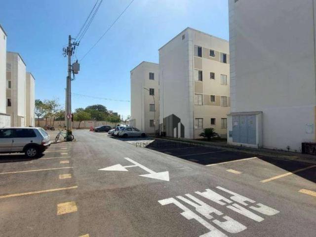 Apartamento venda em Parque Novo Mundo, Americana