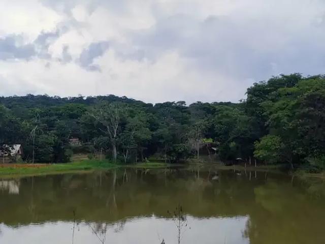 Apartamento venda em Região Geográfica Imediata de Goiânia, Aparecida de Goiânia