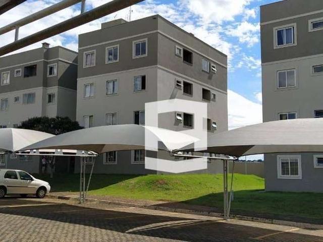 Apartamento venda em Região Geográfica Imediata de Apucarana, Apucarana