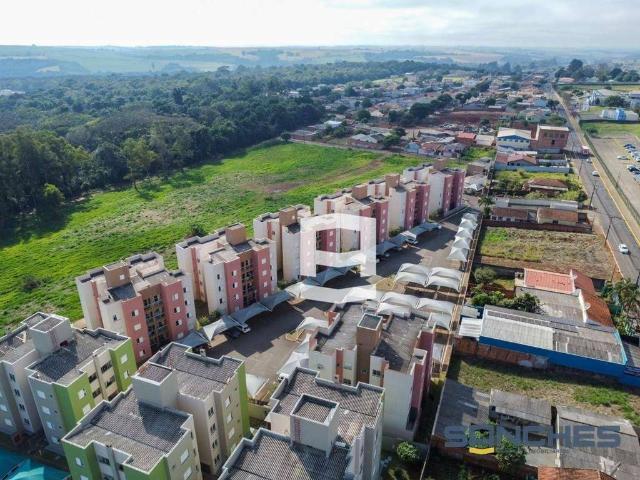 Apartamento venda em Região Geográfica Imediata de Apucarana, Apucarana