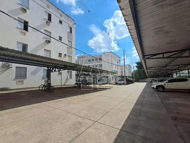 Apartamento venda em Araçatuba, Região Geográfica Intermediária de Araçatuba