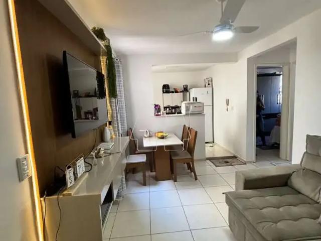Apartamento venda em Araçatuba, Região Geográfica Intermediária de Araçatuba