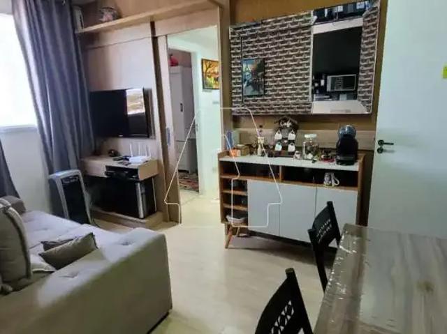 Apartamento venda em Araçatuba, Região Geográfica Intermediária de Araçatuba