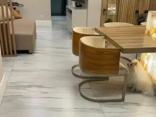Apartamento venda em Região Geográfica Imediata de Aracaju, Região Metropolitana de Aracaju