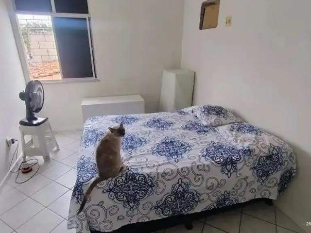 Apartamento venda em Região Geográfica Imediata de Aracaju, Região Metropolitana de Aracaju