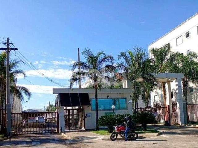 Apartamento venda em Araraquara