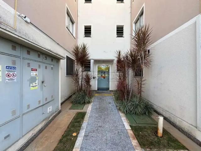 Apartamento venda em Região Imediata de Araraquara, Araraquara