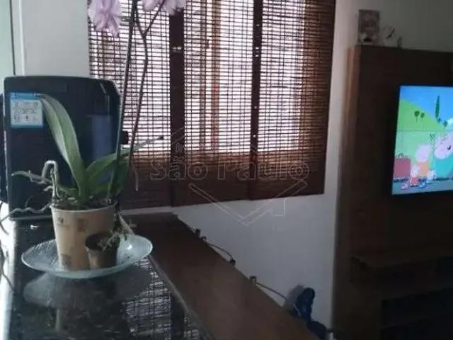Apartamento venda em Araraquara