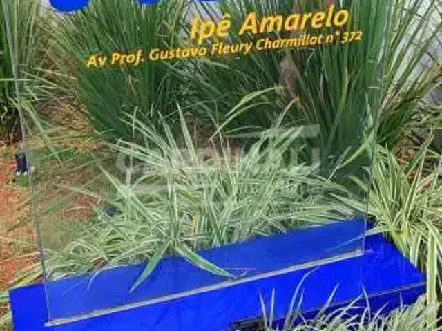 Apartamento venda em Região Imediata de Araraquara, Araraquara