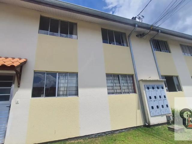 Apartamento aluguel em Região Geográfica Imediata de Curitiba, Região Metropolitana de Curitiba