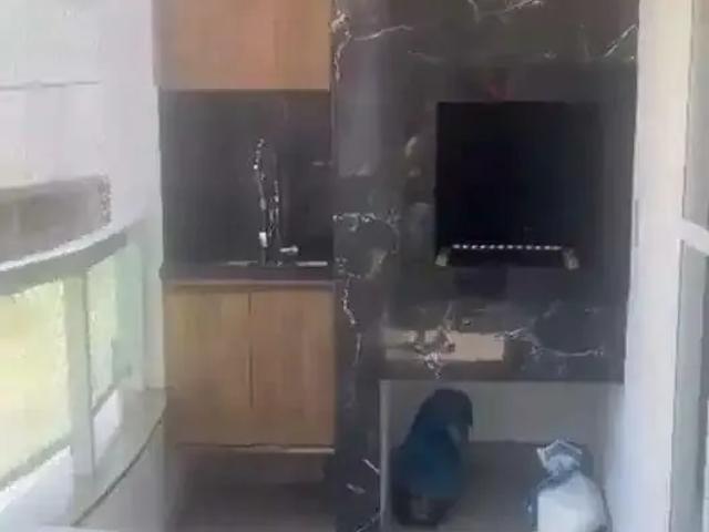 Apartamento venda em Região Geográfica Imediata de Itajaí, Balneario Camboriú
