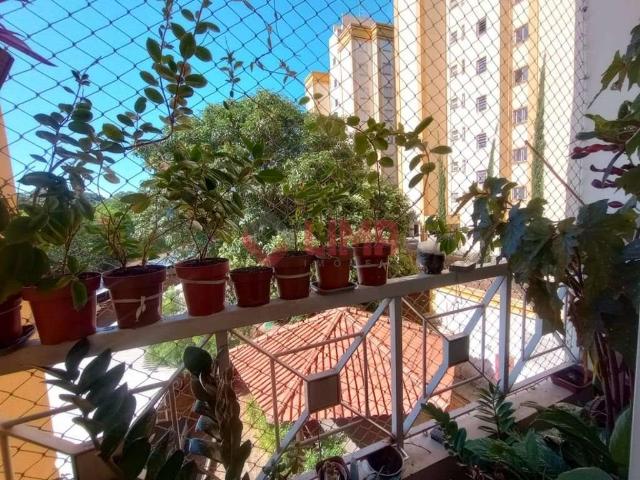 Apartamento venda em Região Imediata de Bauru, Bauru