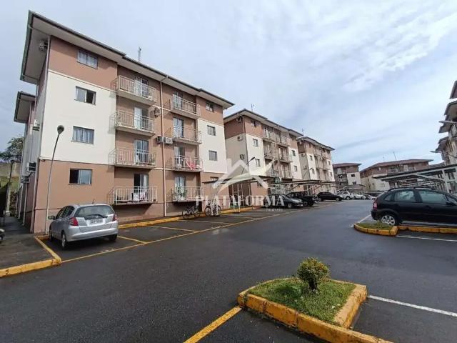 Apartamento venda em Região Geográfica Imediata de Blumenau, Blumenau