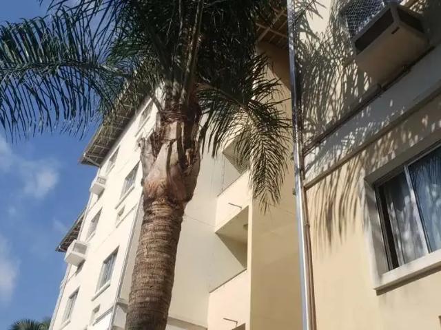 Apartamento venda em Região Geográfica Imediata de Blumenau, Blumenau