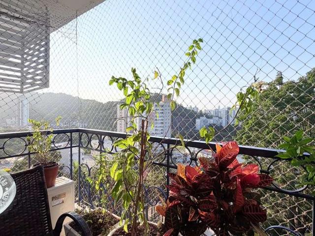 Apartamento venda em Garcia, Blumenau