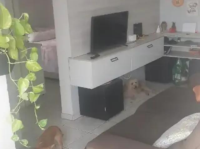 Apartamento venda em Região Geográfica Imediata do Distrito Federal, Região Integrada de Desenvolvimento do Distrito Federal e Entorno