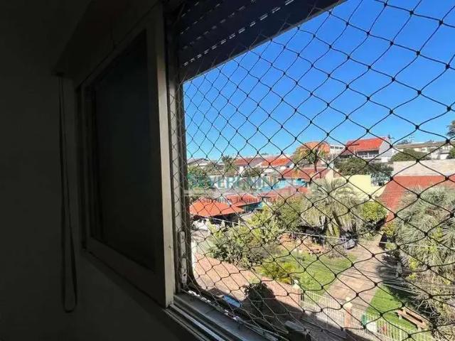 Apartamento venda em Portão