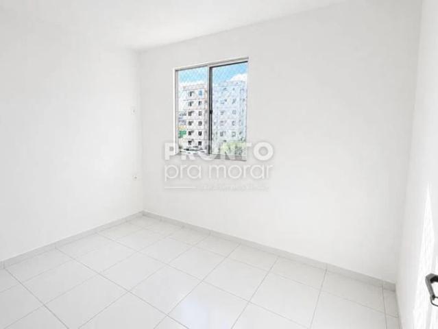 Apartamento venda em Loteamento Campestre, Camaragibe