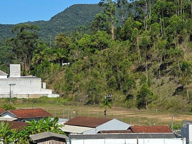 Apartamento venda em Cedro, Camboriú