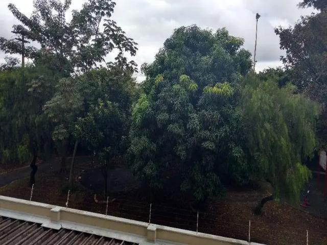 Apartamento venda em Campinas
