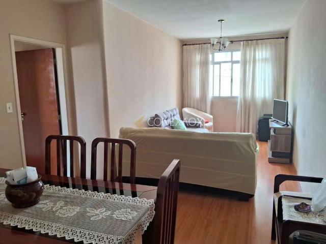 Apartamento venda em Vila Itapura, Campinas