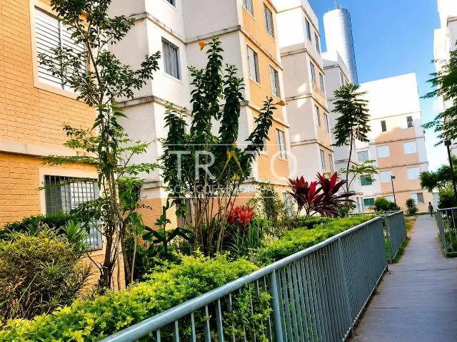 Apartamento venda em Campo Grande, Campinas