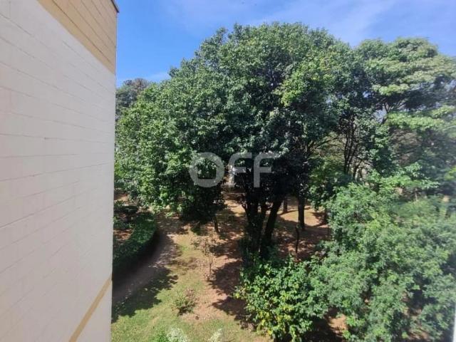 Apartamento venda em Campinas