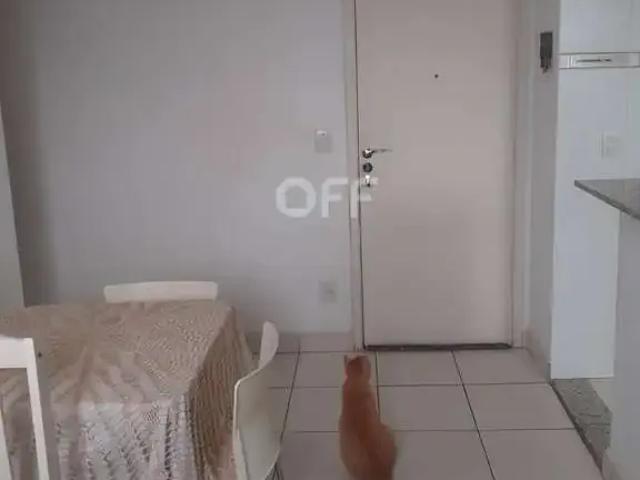 Apartamento venda em Região Imediata de Campinas, Região Metropolitana de Campinas