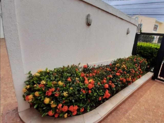 Apartamento venda em Campinas