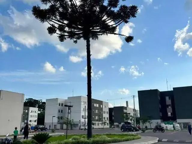 Apartamento venda em Região Geográfica Imediata de Curitiba, Região Metropolitana de Curitiba