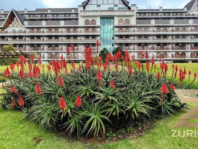 Apartamento venda em Região Imediata de Taubaté-Pindamonhangaba, Região Metropolitana do Vale do Paraíba e Litoral Norte